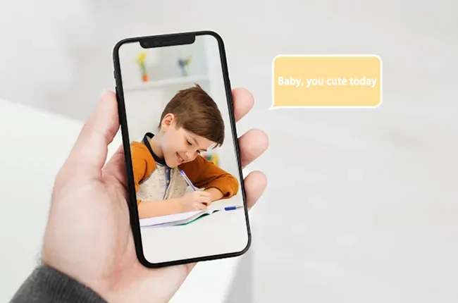 Two-Way Audio & Voice Assistant Compatibility