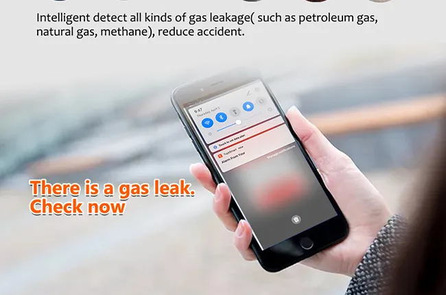 Dual Protection: Gas Leak Alarm + High Temperature Heat Alarm
