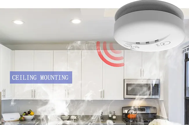Minimalist Round Design & Simple Ceiling Mount Installation