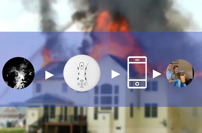 Complete Self-test & Status Indicator Function