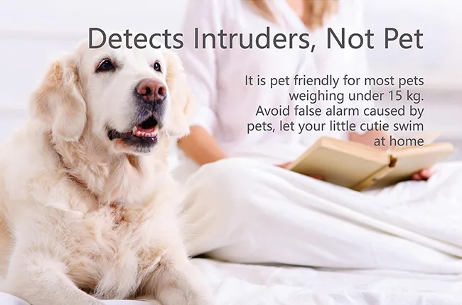 Intelligent Pet Immunity, Zero False Alarms