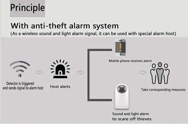Complete Anti-theft Alarm System Working Principle