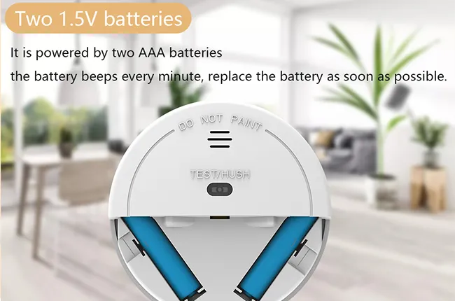Dual 1.5V AAA Battery Power Supply