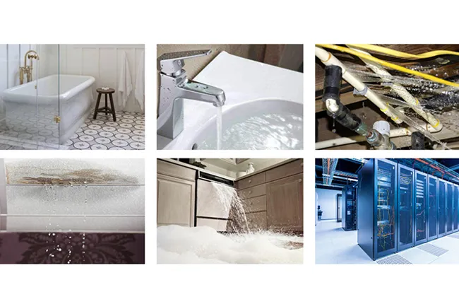 Wide Application Scenarios for Indoor Water Risk Monitoring