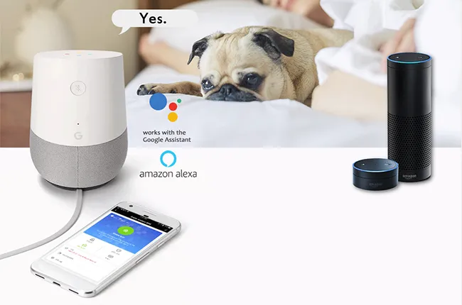 All-Round Home Risk Monitoring for Multiple Scenarios