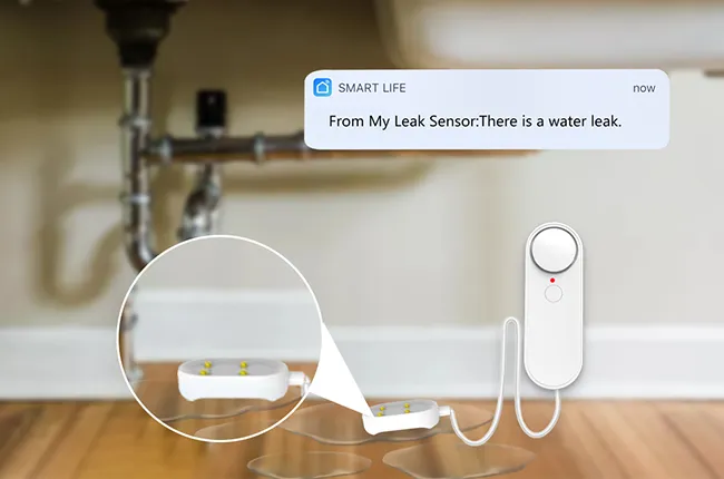 Dual Sensor Interfaces for Expanded Monitoring