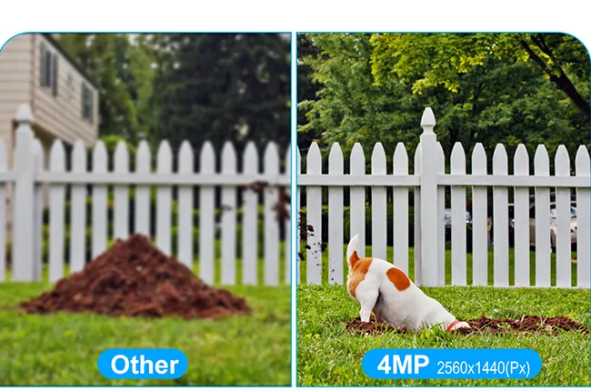 4MP Ultra HD Image & Full Color Night Vision