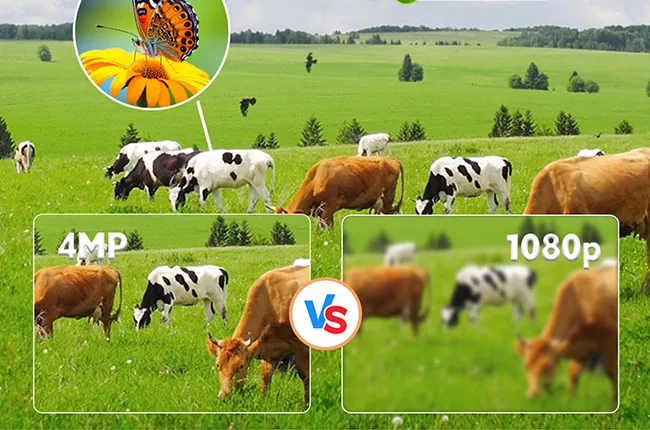 4MP Ultra HD & 360° Panoramic View