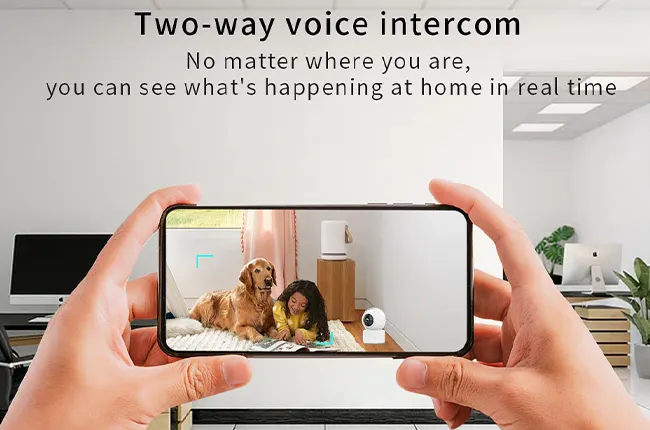 Two-Way Real-Time Voice Intercom