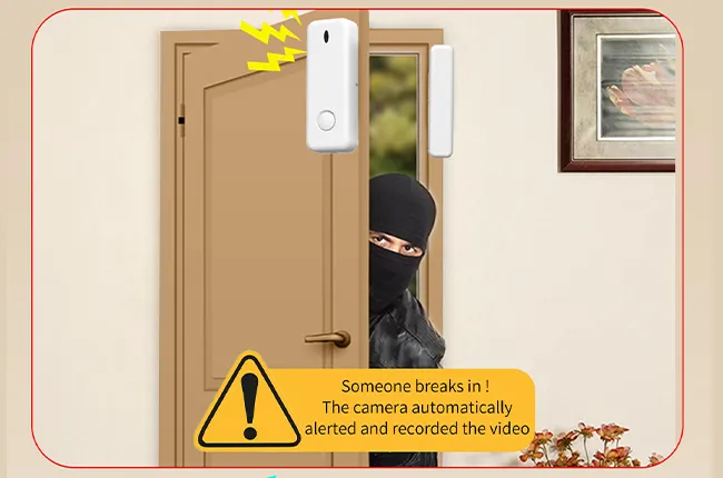 Built-in Wireless Alarm Hub, No Extra Host Needed